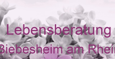 Lebensberatung Biebesheim am Rhein | Top-Experten für Kartenlegen, Wahrsagen, Hellsehen, Zukunftsdeutung. Lebensberatung Biebesheim am Rhein | Top-Experten für Kartenlegen, Wahrsagen, Hellsehen, Zukunftsdeutung.